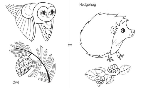 My First Colouring Book: Scottish Animals