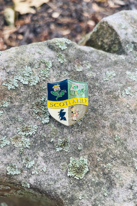 Icons Crest Pin