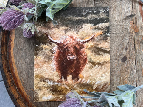 Highland Cow II Giclée Print
