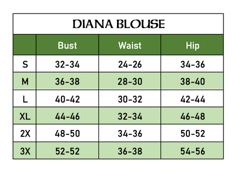Diana Long-Sleeve Blouse