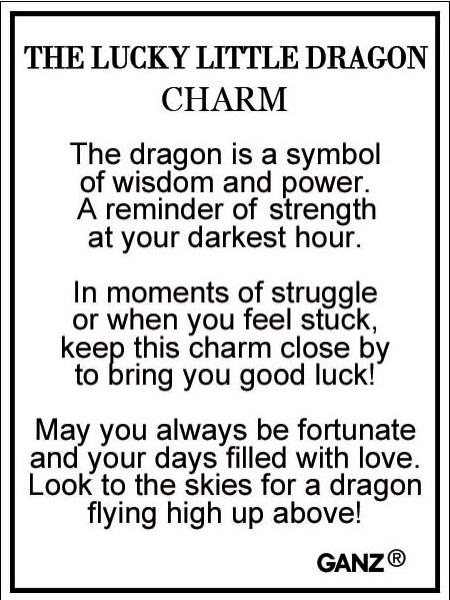 Lucky Little Dragon Charms
