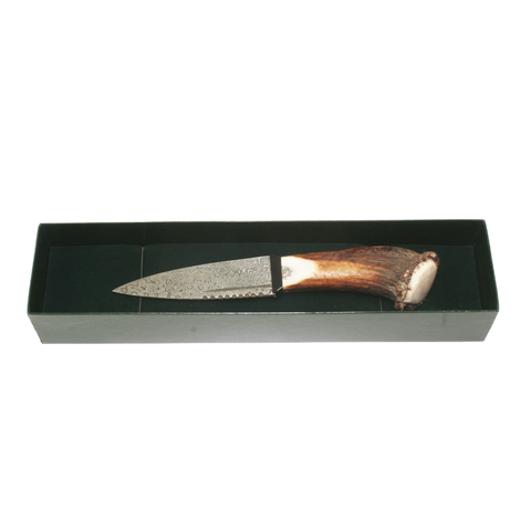 Damascus Steel Sgian Dubh with Full Crown Antler Handle