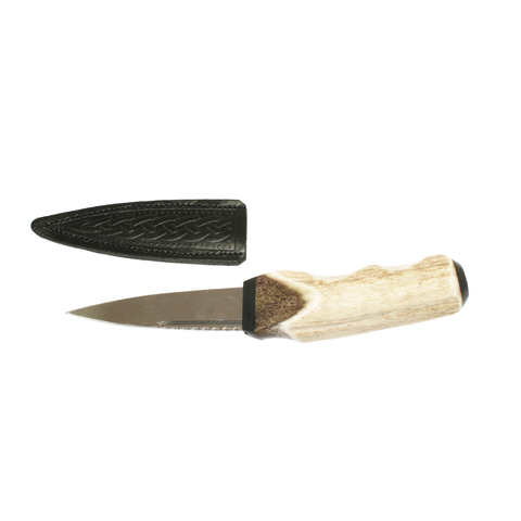 Stainless Steel Sgian Dubh with Antler Handle and Buffalo Cap